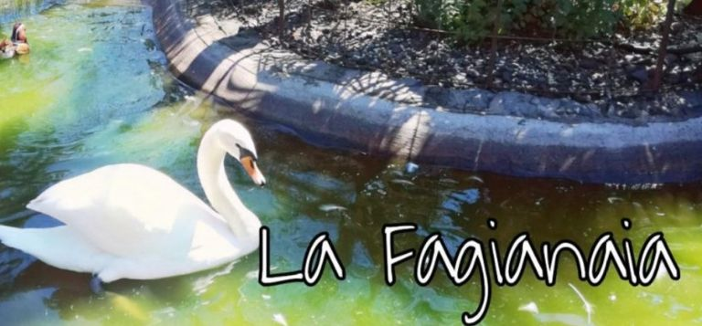 Promo visita guidata La Fagianaia per gli studenti!