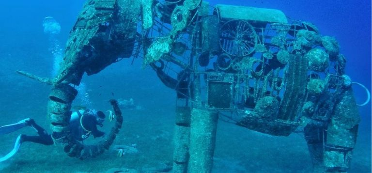 Promo sui corsi di scuba diving alla Sub Catania Academy!