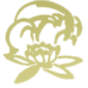 La Rosa del Deserto